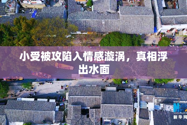 小受被攻陷入情感漩涡，真相浮出水面