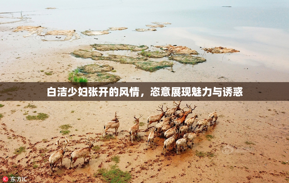 白洁少妇张开的风情，恣意展现魅力与诱惑