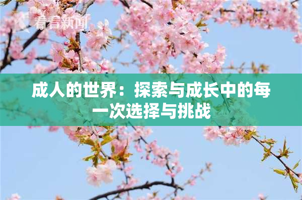 成人的世界：探索与成长中的每一次选择与挑战
