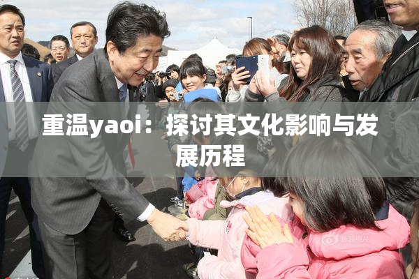 重温yaoi：探讨其文化影响与发展历程
