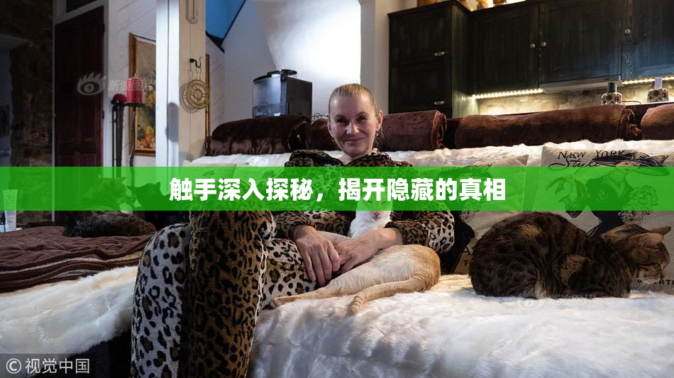 触手深入探秘，揭开隐藏的真相