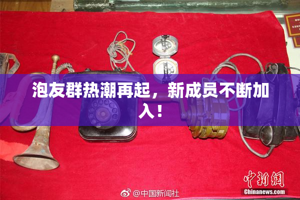 泡友群热潮再起，新成员不断加入！