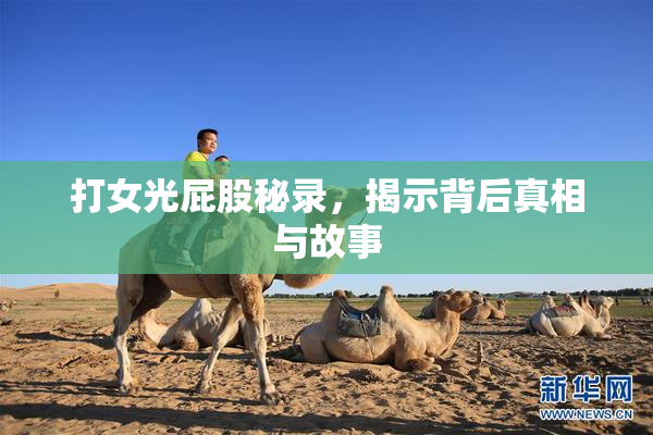 打女光屁股秘录，揭示背后真相与故事