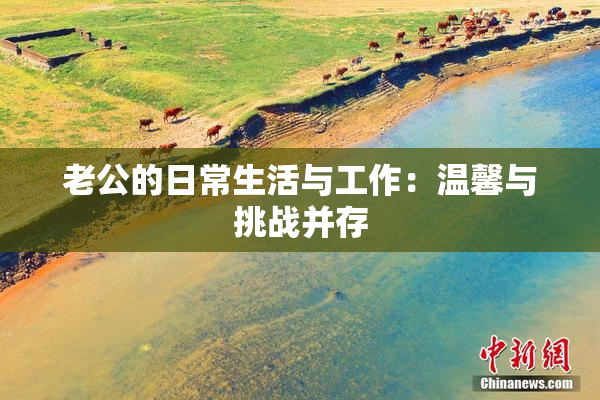 老公的日常生活与工作：温馨与挑战并存