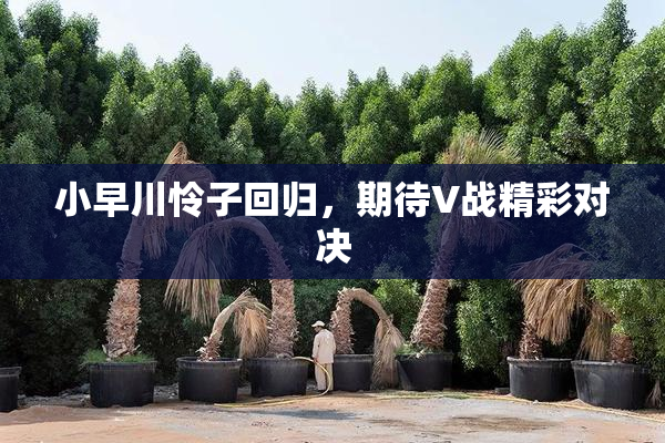 小早川怜子回归，期待V战精彩对决