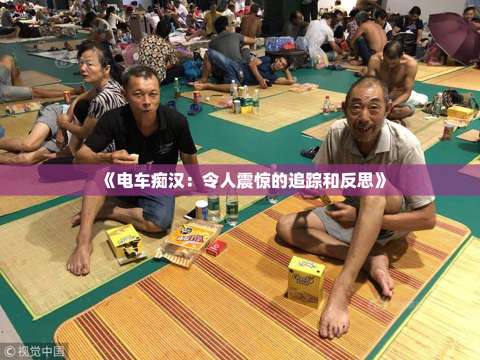 《电车痴汉：令人震惊的追踪和反思》