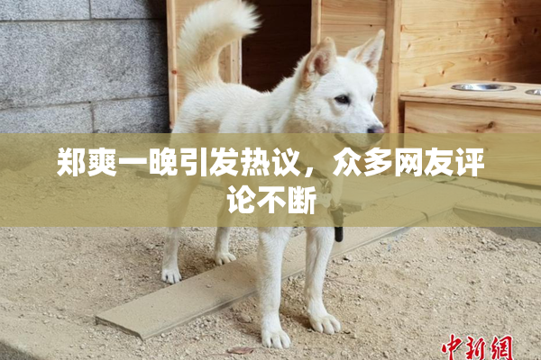 郑爽一晚引发热议，众多网友评论不断