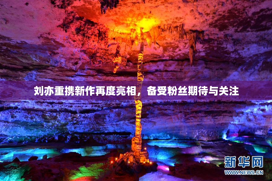 刘亦重携新作再度亮相，备受粉丝期待与关注