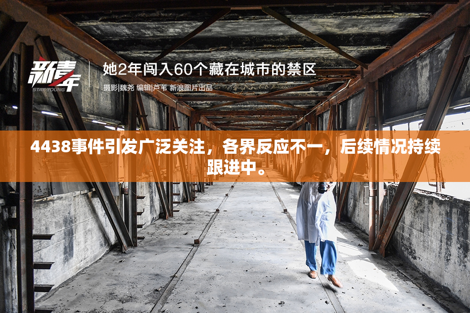4438事件引发广泛关注，各界反应不一，后续情况持续跟进中。