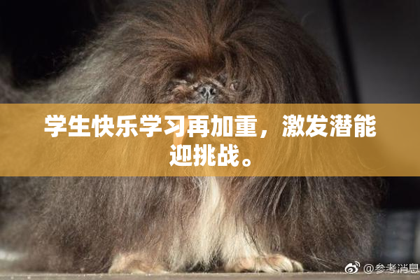 学生快乐学习再加重，激发潜能迎挑战。