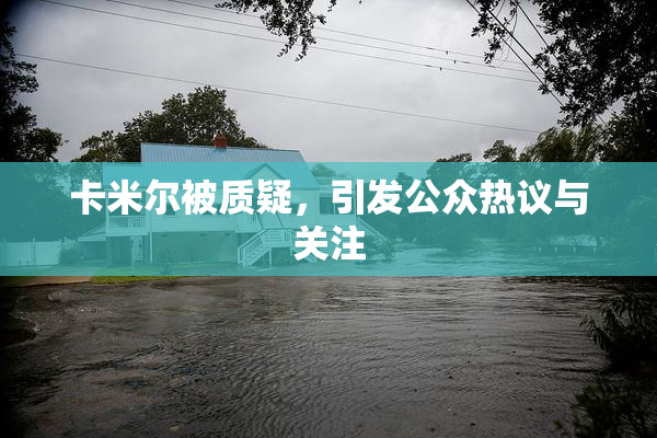卡米尔被质疑，引发公众热议与关注
