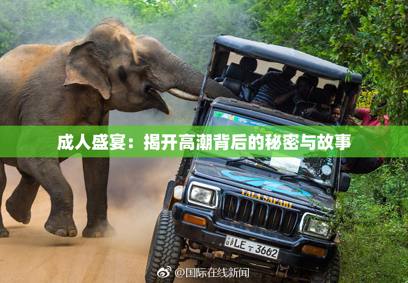 成人盛宴：揭开高潮背后的秘密与故事