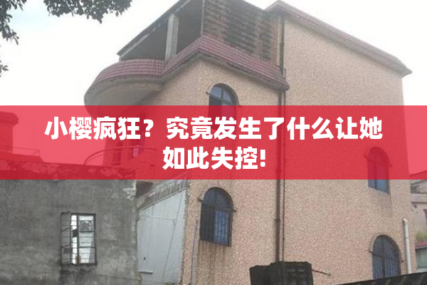 小樱疯狂？究竟发生了什么让她如此失控!