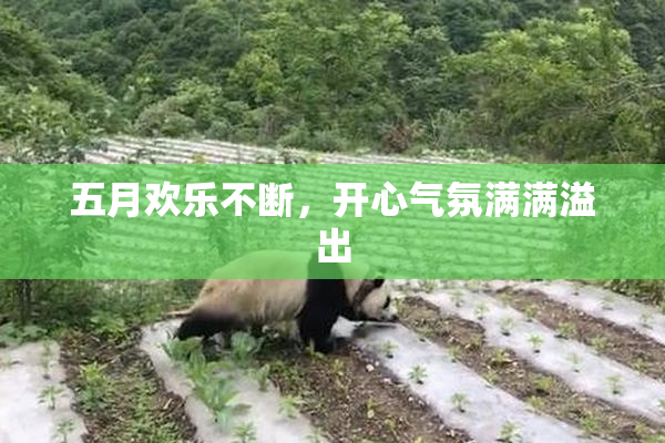 五月欢乐不断，开心气氛满满溢出