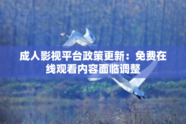 成人影视平台政策更新：免费在线观看内容面临调整