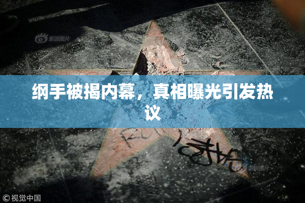 纲手被揭内幕，真相曝光引发热议