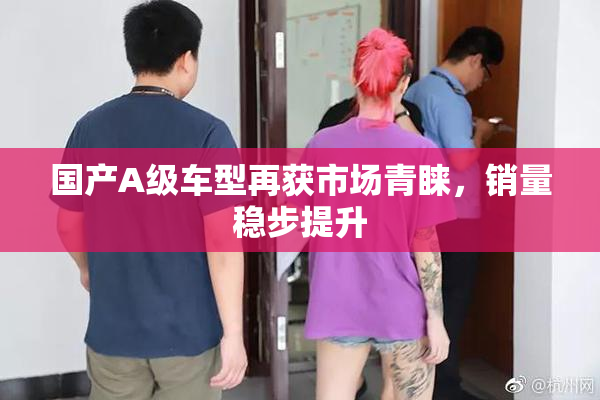 国产A级车型再获市场青睐，销量稳步提升