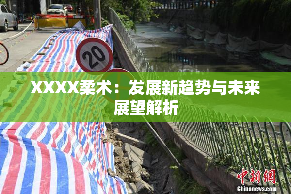 XXXX柔术：发展新趋势与未来展望解析