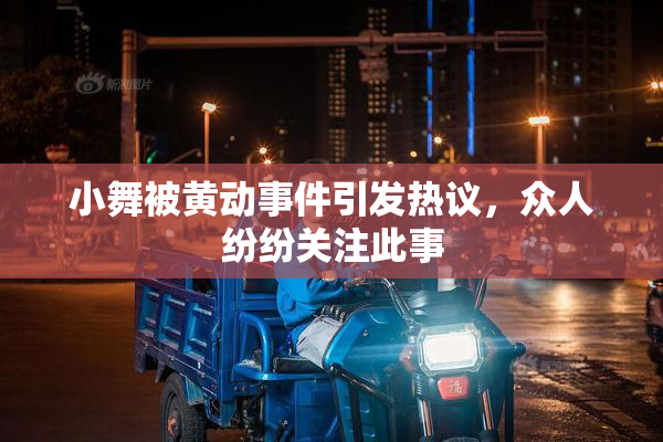 小舞被黄动事件引发热议，众人纷纷关注此事