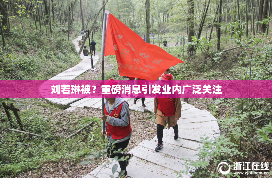 刘若琳被？重磅消息引发业内广泛关注