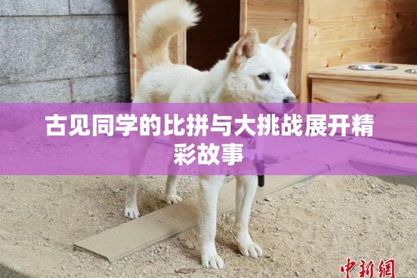 古见同学的比拼与大挑战展开精彩故事