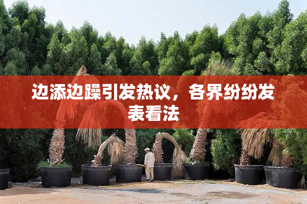 边添边躁引发热议，各界纷纷发表看法