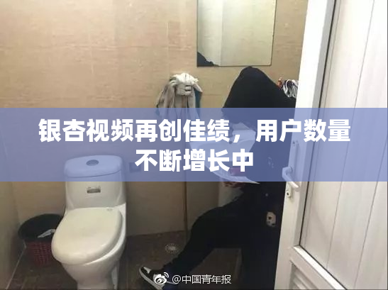银杏视频再创佳绩，用户数量不断增长中