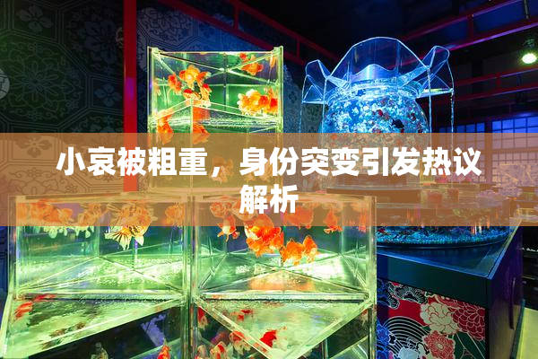 小哀被粗重，身份突变引发热议解析
