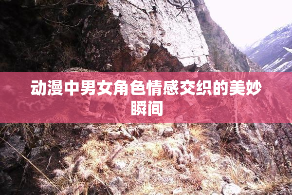动漫中男女角色情感交织的美妙瞬间