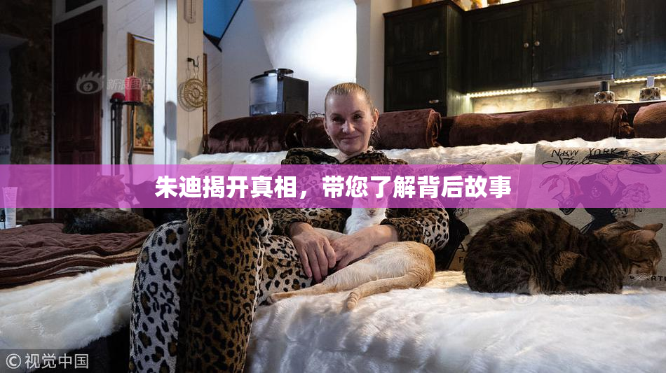朱迪揭开真相，带您了解背后故事