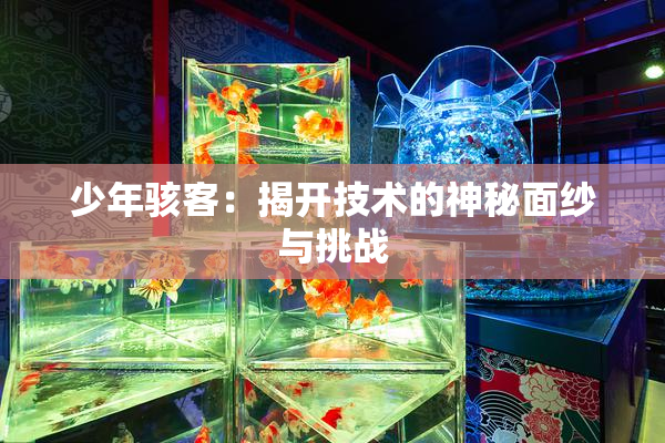 少年骇客：揭开技术的神秘面纱与挑战