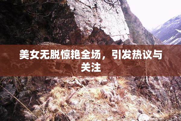美女无脱惊艳全场，引发热议与关注