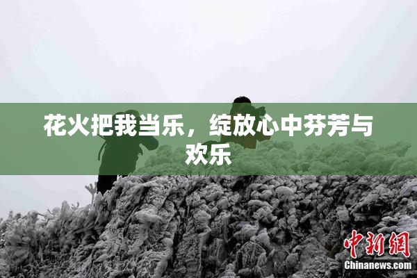 花火把我当乐，绽放心中芬芳与欢乐