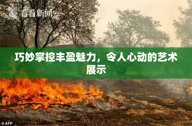 巧妙掌控丰盈魅力，令人心动的艺术展示