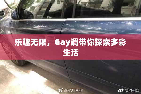 乐趣无限，Gay调带你探索多彩生活