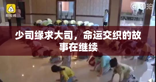 少司缘求大司，命运交织的故事在继续