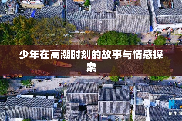 少年在高潮时刻的故事与情感探索
