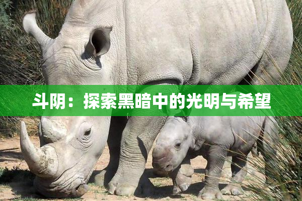 斗阴：探索黑暗中的光明与希望