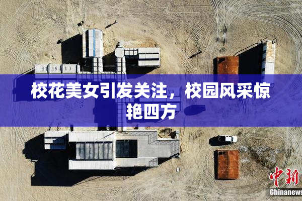 校花美女引发关注，校园风采惊艳四方