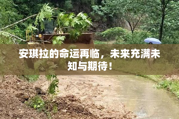 安琪拉的命运再临，未来充满未知与期待！