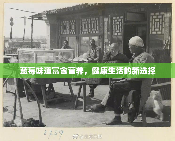 蓝莓味道富含营养，健康生活的新选择