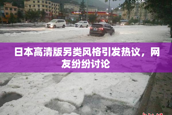 日本高清版另类风格引发热议，网友纷纷讨论