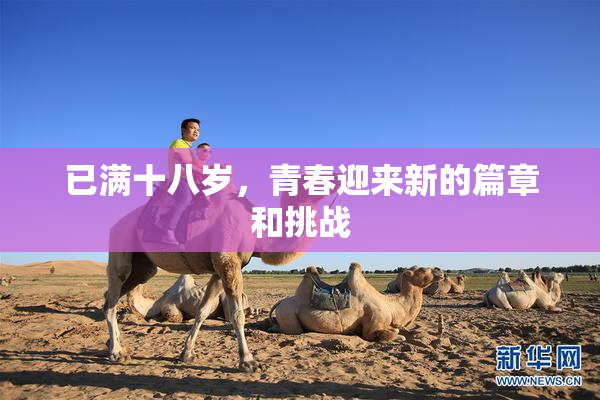 已满十八岁，青春迎来新的篇章和挑战