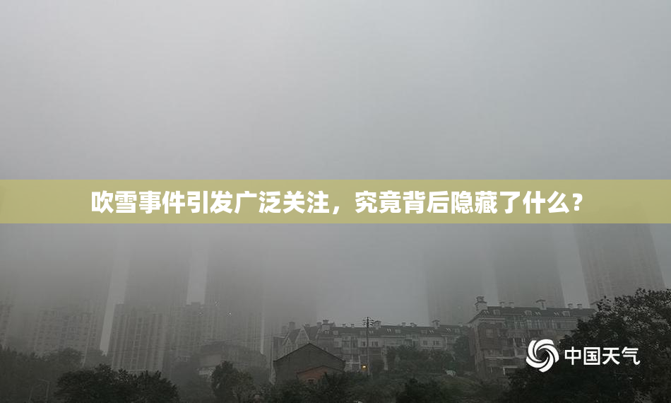 吹雪事件引发广泛关注，究竟背后隐藏了什么？