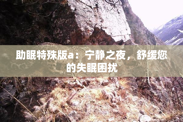 助眠特殊版a：宁静之夜，舒缓您的失眠困扰