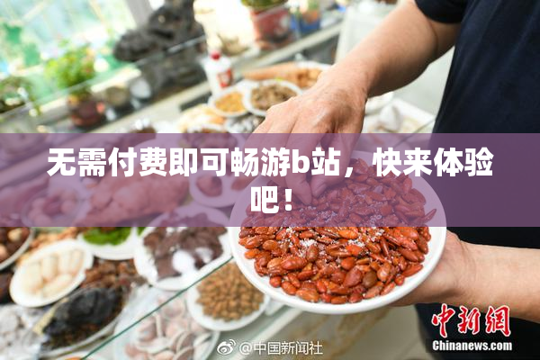 无需付费即可畅游b站，快来体验吧！