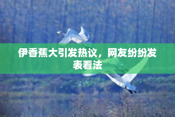 伊香蕉大引发热议，网友纷纷发表看法