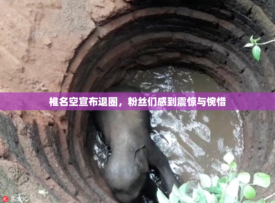 椎名空宣布退圈，粉丝们感到震惊与惋惜
