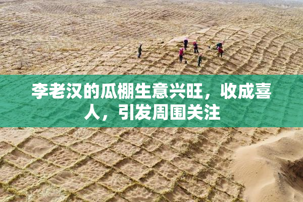 李老汉的瓜棚生意兴旺，收成喜人，引发周围关注