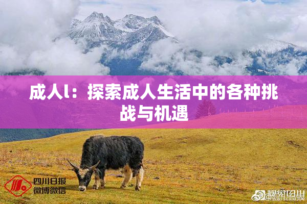 成人l：探索成人生活中的各种挑战与机遇